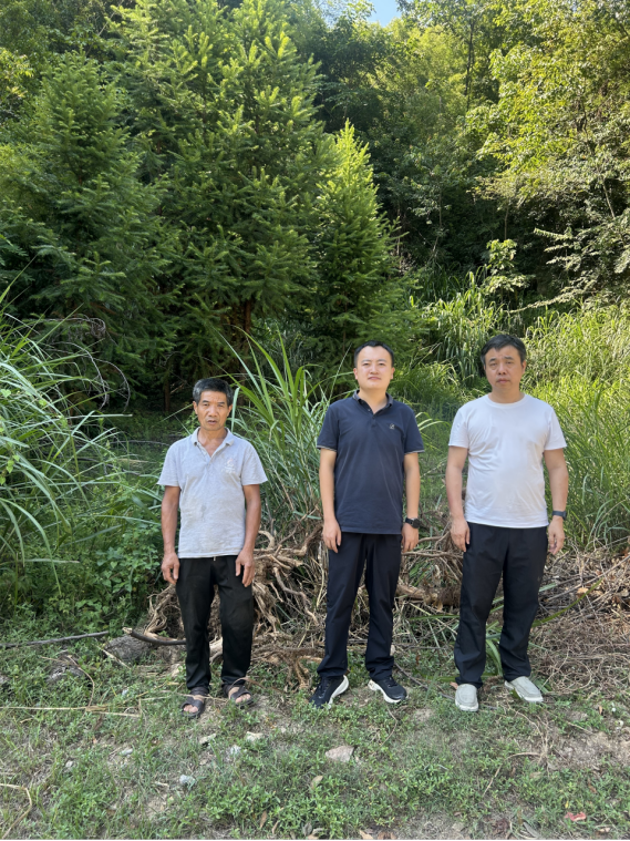 1770275688649461.png 4effd246-a201-4a06-874b-5082bdf3fc6f.png